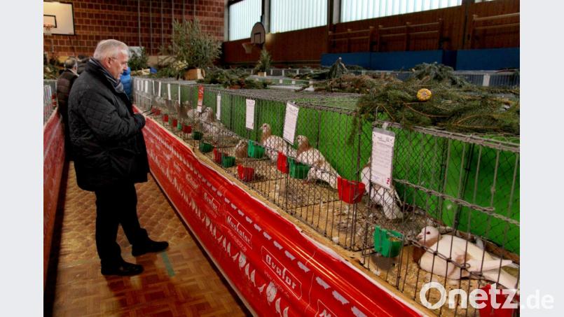 Die Turnhalle der Grundschule Neukirchen-Etzelwang bei einer Geflügelschau Ende 2018. Jetzt ist das Gebäude, das auch Vereinen diente, dringend sanierungsbedürftig. Bild: ds