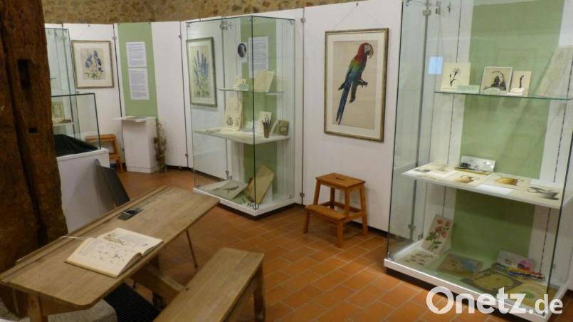 Ein Blick in die Sonderausstellung mit Arbeiten der Künstlerin und Pflanzenmalerin Hildegard Christ. Bild: Edith Zimmermann/exb