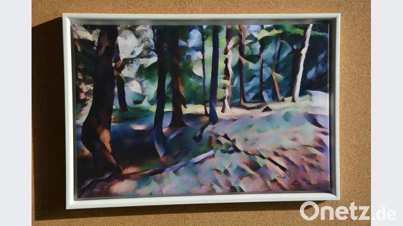 Überwiegend Bilder aus den Naturschutzgebieten Doost und Waldnaabtal, digital zu einem Kunstwerk verarbeitet, sind derzeit im Museum Mitterteich zu bewundern. Bild: jr