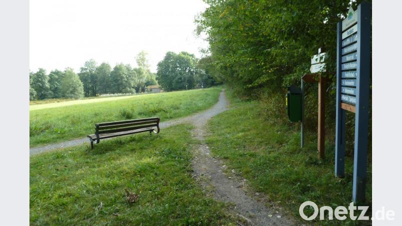Der Kurpark umfasst rund elf Hektar. Die Pflege des Spazierwegenetzes ist eine Herausforderung. Bild: Portner