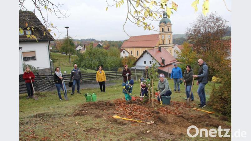 Der Elternbeirat pflanzte einen Birnbaum für den Kindergarten in Teunz. Bild: frd