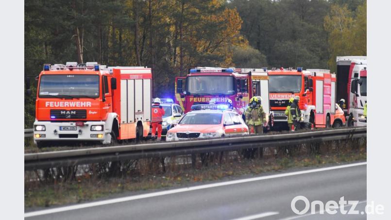 Ein entlaufener Hund war wohl der Auslöser für einen Unfall auf der A93 bei Weiden am Donnerstag. Bild: Gabi Schönberger