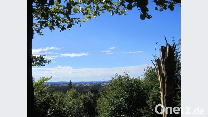 Von der Blockhütte auf der Platte haben Wanderer einen herrlichen Blick auf Vohenstrauß. Bild: dob