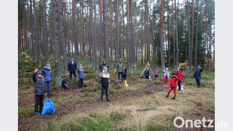 Die Schüler der Grafenwöhrer Grund- und Mittelschule säen zwei Zentner Eicheln aus. Bild: sne