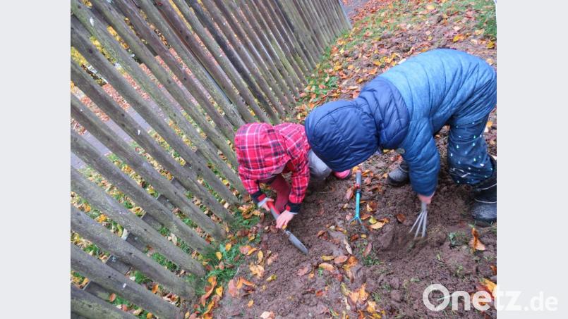 Kinder pflanzen Blumenzwiebel. Bild: Theresa Näger/exb