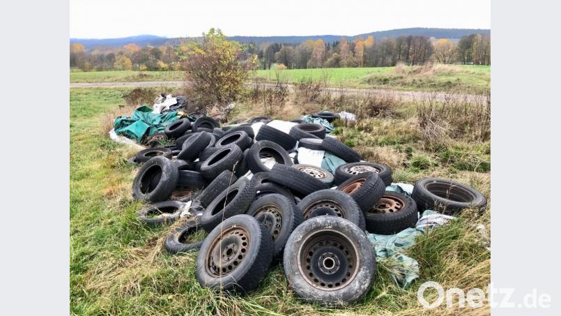 Mitten in der Natur haben Umweltsünder Altreifen abgelagert. Bild: ppz