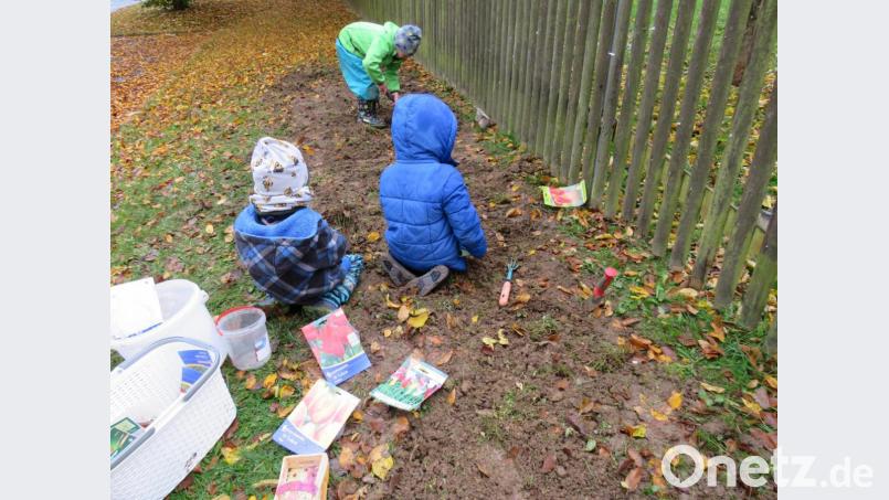 Kinder pflanzen Blumenzwiebel. Bild: Theresa Näger/exb