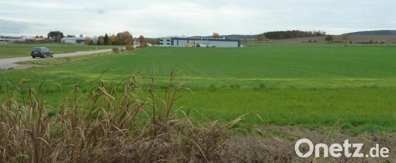 Auf diesem Grundstück möchte sich die Firma FEE ansiedeln. Das Areal liegt an der Siemensstraße (links), in direkter Nachbarschaft zu Absolute Vegan Empire (AVE, hinten Mitte). Bild: Wilhelm Amann