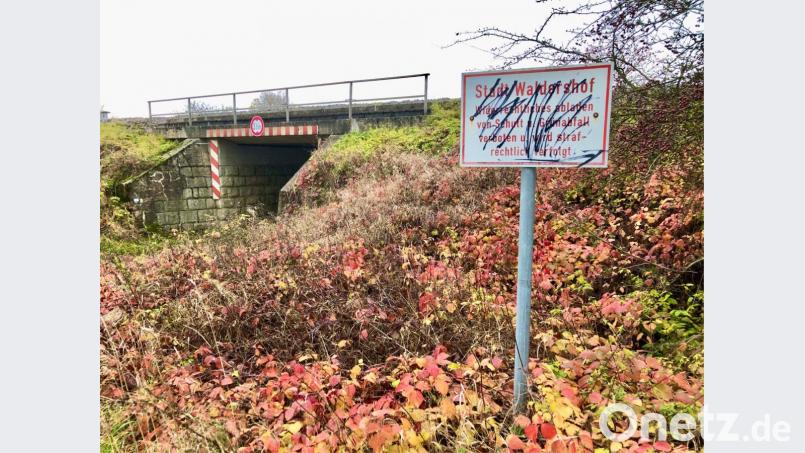 Ein Schild der Stadt Waldershof weist darauf hin, dass widerrechtliches Abladen von Schutt und Grünabfall verboten ist. Bild: ppz