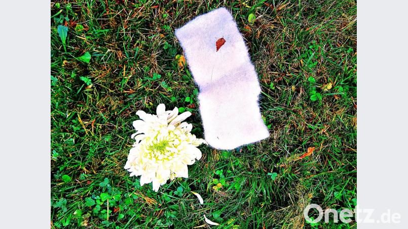 Eine Blüte und eine Schleife erinnern an den vermissten Blumenstrauß. Bild: ld