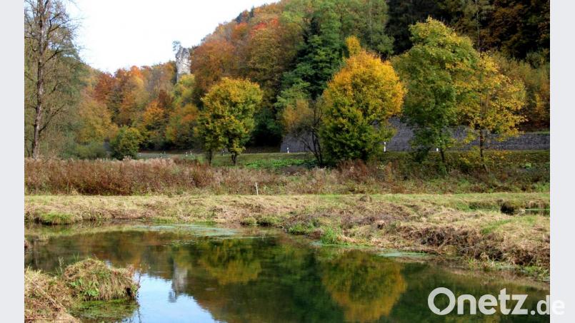 Der Rißturm hebt sich markant aus der Farbenpracht des Herbstwaldes hervor. Bild: ds