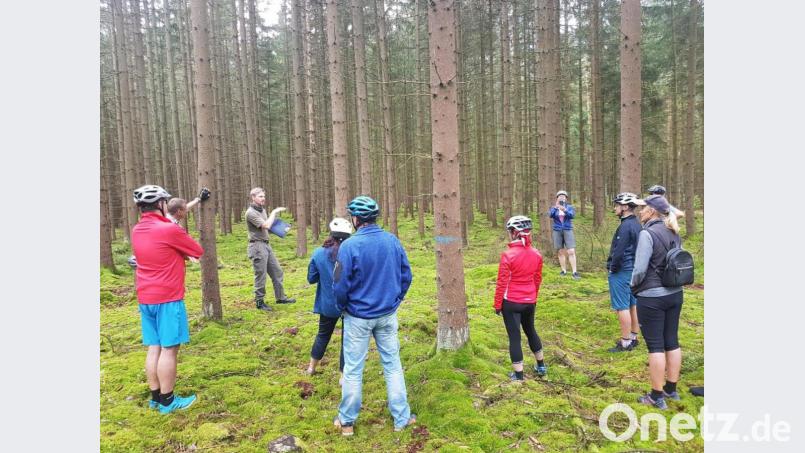 Auf großes Interesse stieß beim "Urlaub daheim" auch die Tour in den Stadtwald mit Förster Stefan Gradl. Archivbild: Stadt Tirschenreuth/exb