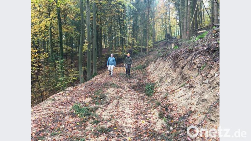 Der Rückeweg durchzieht wie eine Wunde den Eixlberg. Sie wird aber vernarben, sind sich Forstleute sicher. Rückewege werden nicht gepflegt. Egal, wie lange die Waldverjüngung auf dem Eixlberg noch dauert, er geht sanft vonstatten. Bagger werden nicht mehr anrollen. Bild: ihl