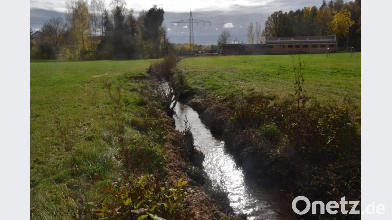 Der Gleitsbach in seinem Verlauf Richtung Feuerwehrhausneubau. Nächstes Jahr soll die Renaturierung folgen. Bild: fz