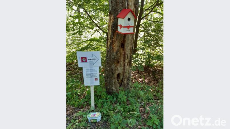 An einem Spechtbaum war für den &quot;KiGo to go&quot; ein Vogelhäuschen aufgehängt worden. Bild: rpp
