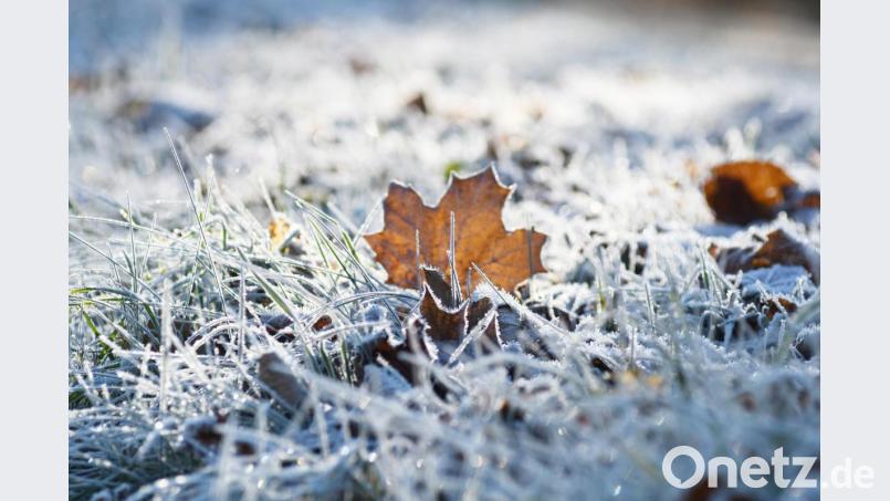 So fotogen ist der Herbst in der Oberpfalz. Bild: Gabi Schönberger