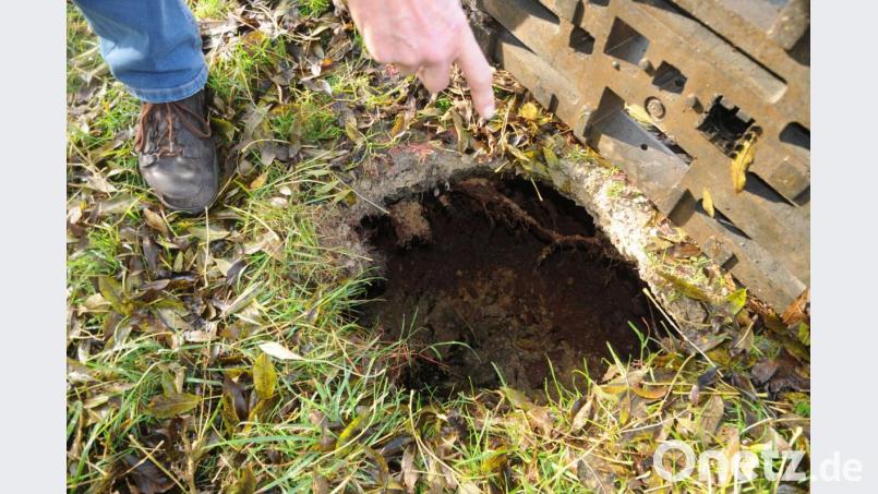 Über einen Meter tief dehnte sich das Loch unter dem Weg aus – Spaziergänger Lothar Luh entdeckte es rechtzeitig. Bild: Joachim Gebhardt