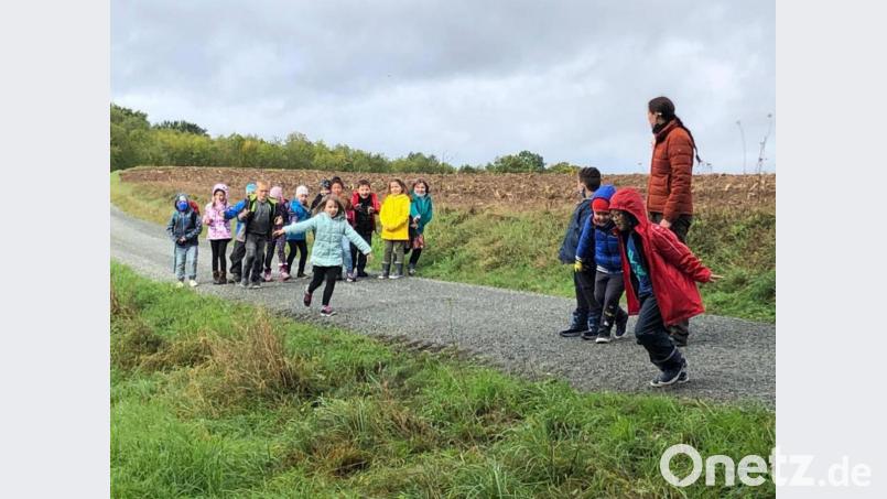 Auch Spaß muss sein beim Unterrichtsgang zur Hecke: Die Schüler bilden Gruppen, und die &quot;Greifvögel&quot; müssen die &quot;Singvögel&quot; jagen. Bild: sne