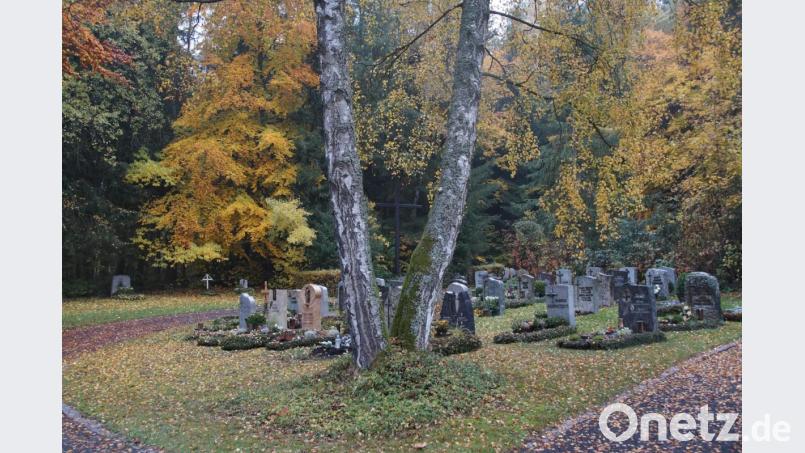Zwischen den Bäumen spitzt das alte Holzkreuz hervor. Bild: kaz