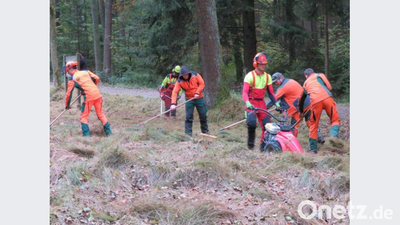 Die Pflege von Feuchtwiesenbiotopen ist fester Bestandteil der Ausbildung bei den angehenden Landwirten und Forstwirten der Berufsschule in Neunburg vorm Wald Bild: Armin Wild