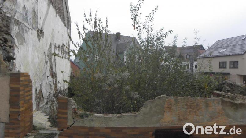 Die Stadt kann das verwilderte Grundstück am Mühlweg 2 kaufen. Doch der genannte Preis stößt einem Teil des Gremiums sauer auf. Bild: Wilhelm Amann