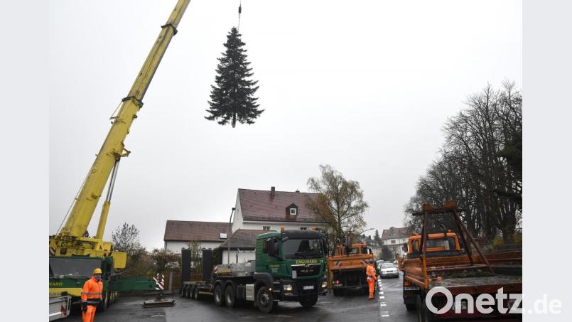 Hier hebt der Weihnachtsbaum für den Malteserplatz Amberg ab: Ein extra großer Kran hievte die Nordmanntanne am Dienstag aus einem Garten und über einen zweiten hinweg auf den bereitstehenden Lastwagen. Bild: Petra Hartl