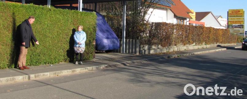Bürgermeister Richard Kammerer (links) zählt auf einer Gehsteiglänge von zehn Metern in der Weidener Straße acht Hundehaufen. Auch eine Einwohnerin, die regelmäßig über den Bürgersteig zum Supermarkt geht, beschwert sich, dass man Slalom laufen müsse, um nicht in den Dreck zu treten. Bild: sei