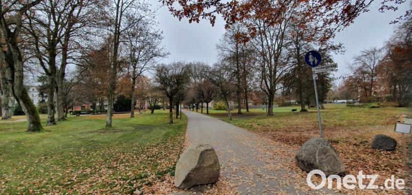 Der Stadtpark (Bild) muss noch warten. Planung und Umsetzung stehen erst ab 2022 an. Stadtkämmerer Markus Brand informierte am Dienstag über die wichtigsten Zahlen im Haushalt 2021. Bild: Peggy Biczysko/fph
