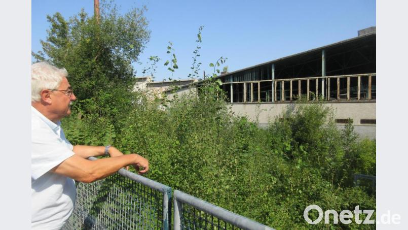Nach einem halben Jahrhundert Dornröschenschlaf möchte Bürgermeister Rupert Troppmann aus den Industriebrachen an der Floß einen Grüngürtel machen. Bild: ui
