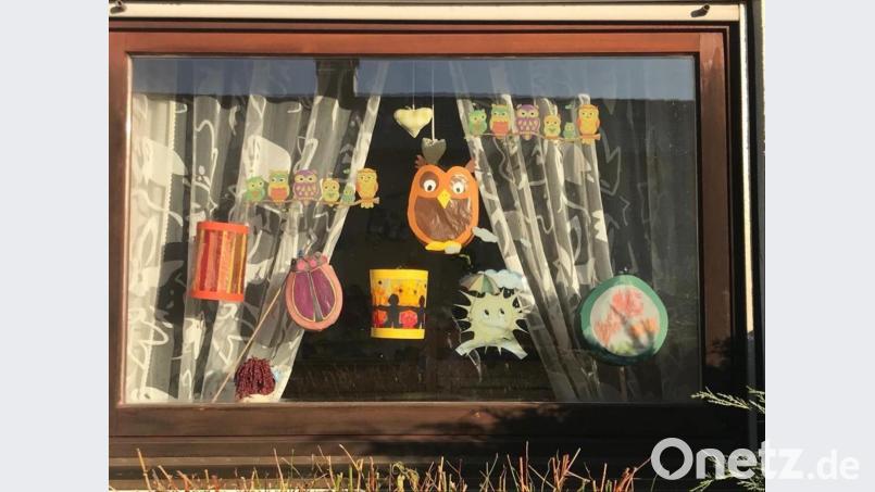 Fantasievolle Laternen schmückten am Martinstag viele Fenster in Pechbrunn und Groschlattengrün, die bei abendlichen Spaziergängen im Kreis der Familie zu bestaunen waren. Dazu aufgerufen hatte das gemeindliche Kinderhaus. Bild: jr