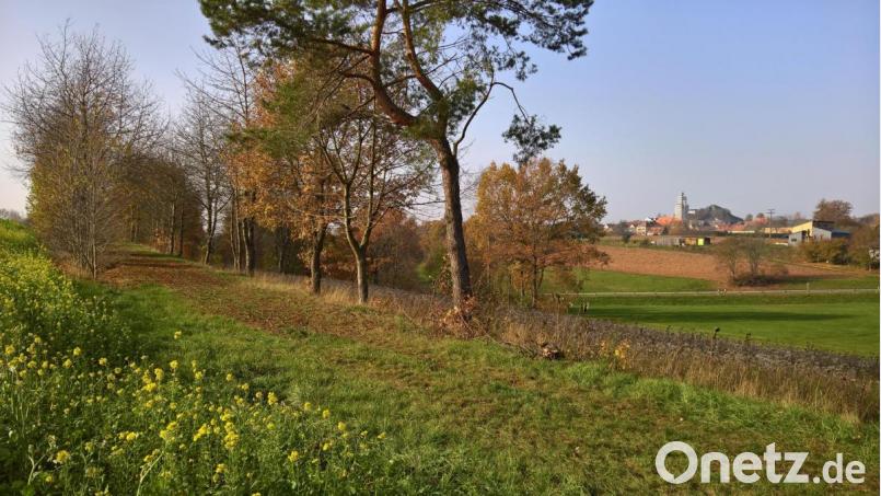 Ein einzigartiger Blick auf das Städtchen Neustadt am Kulm. Bild: rpp