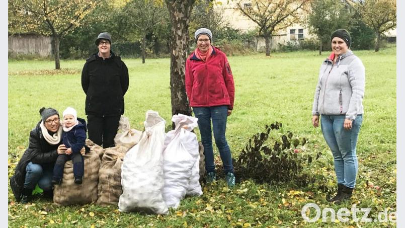 Helferinnen des Kindergartenfördervereins Illschwang freuten sich über die gute Apfelernte in der Propsteiwiese. Bild: no