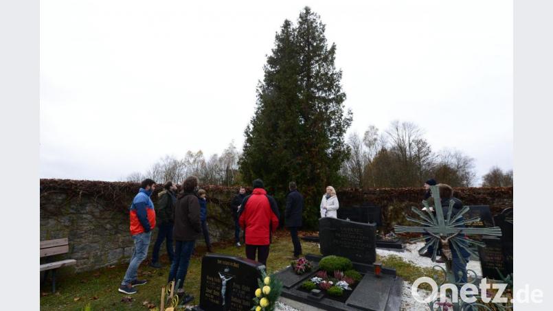 Die Thuja (links, der etwas kleinere Baum) soll nach dem Wunsch von Peter Pregel beseitigt werden, weil das Wurzelwerk die Grabgruft beschädigen könnte. Der Bauausschuss lehnte dieses Ansinnen einstimmig ab. Bild: bey