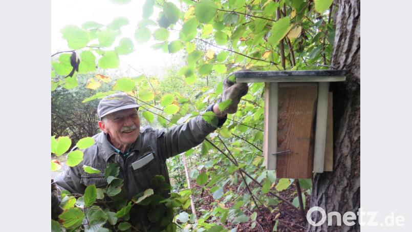 OWV-Vogelwart Manfred Witt freut sich, dass er mit dem Aufhängen der Nistkästen nun auch für die Haselmaus eine bleibende Stätte schaffen konnte. Bild: dip