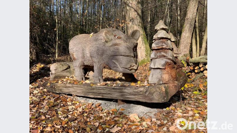Die Wildsau am Naturerlebnispfad Bierlohe: Hier geht die Schnitzeljagd los. Bild: sne