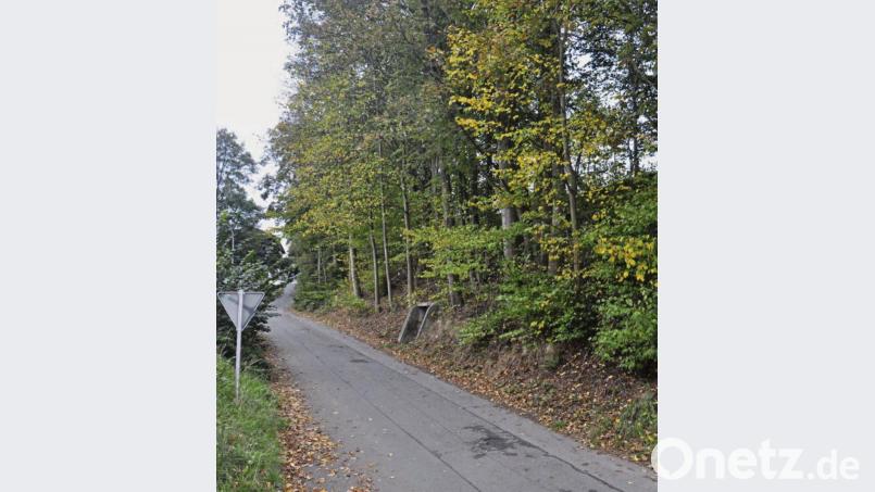 Der Baumbestand am Urtlweg in Hohenthan soll nicht komplett beseitigt werden. Nur drei kaputte Bäume werden gefällt. Bild: ws