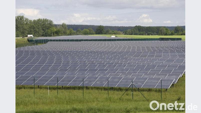 Das Thema "Freiflächen-Photovoltaik" will der Stadtrat in einer Klausurtagung beraten. Derzeit liegen Anträge für Anlagen auf über 100 Hektar vor. Im Bild eine Anlage bei Ammersricht an der B 299. Bild: Petra Hartl