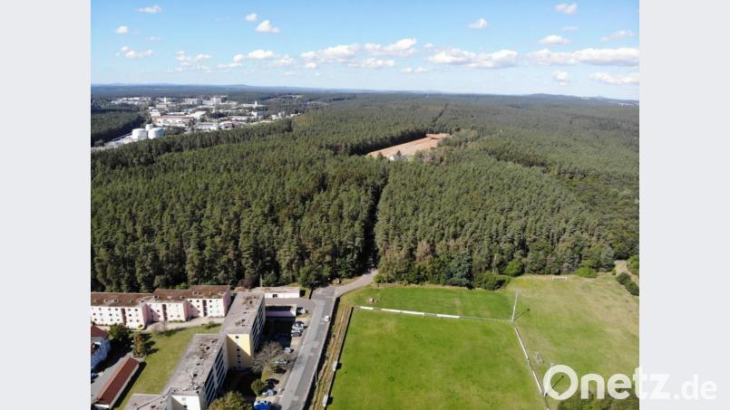 Blick vom Stadtteil Weiden-West (im Vordergrund der Platz des VfB Weiden) über die Standortschießanlage auf die Waldflächen, die als Gewerbegebiet Weiden-West IV ausgwiesen werden sollen. Bild: Gustl Beer