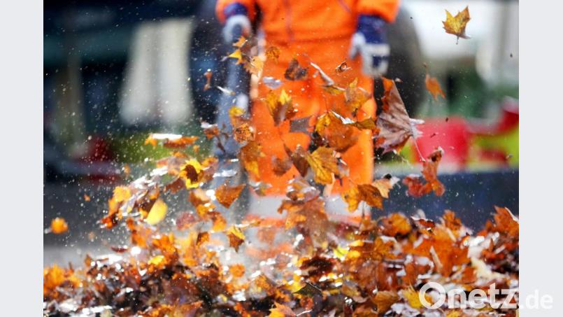Das Herbstlaub wird mit einem Laubbläser durch die Luft gewirbelt. Foto: Roland Weihrauch/dpa/Archivbild Bild: Roland Weihrauch