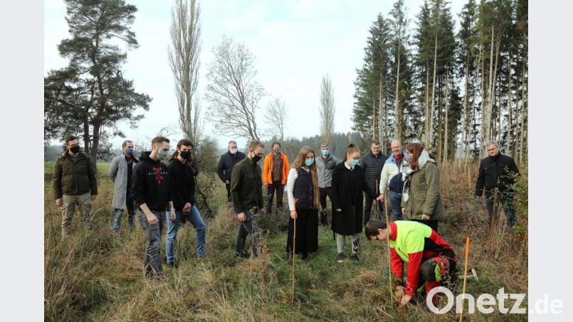 Zum 150-jährigen Bestehen des beruflichen Schulzentrums pflanzt die SMV mit den Schulleitern, dem Stadtforstamt Amberg, der Forstbetriebsgemeinschaft Amberg-Schnaittenbach und Oberbürgermeister Michael Cerny 150 Bäume bei Atzlricht. Bild: Wolfgang Steinbacher