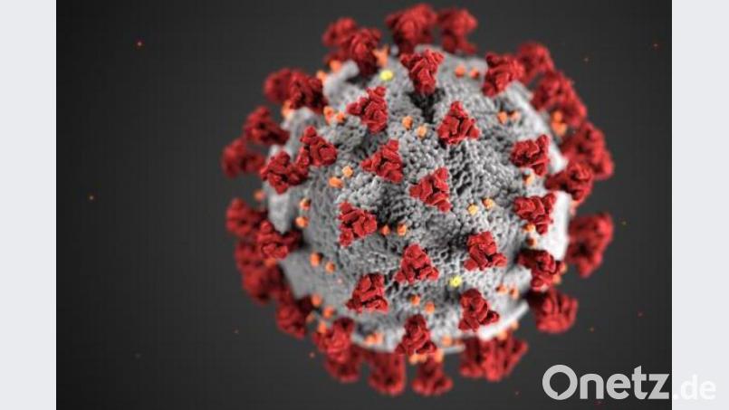 Die 7-Tage-Inzidenz in der Stadt Weiden und im Kreis Neustadt/WN sinkt im Moment. Bild: Centers for Disease Control and Prevention illustration