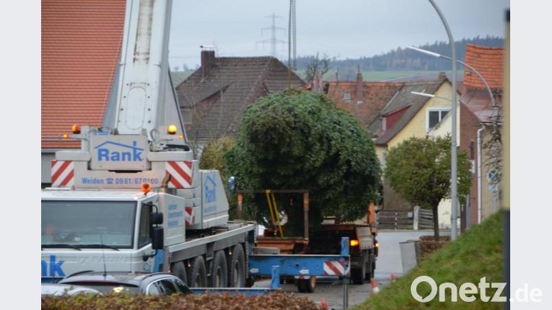 Der Abtransport zum Rathausvorplatz. Bild: dob