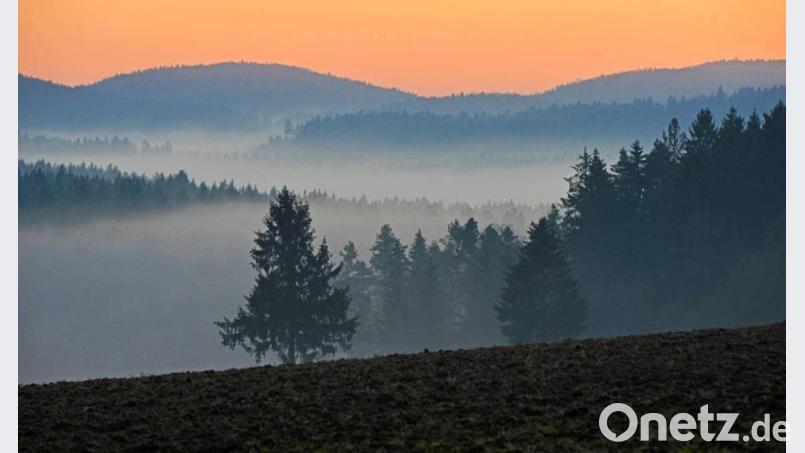 Im Jura beim Ort Guttenberg nahe Kastl bilden sich Nebelschleier in den Tälern und modulieren die hintereinander gestaffelten Wälder zu einer wunderbaren Kulisse. Bild: Günter Moser