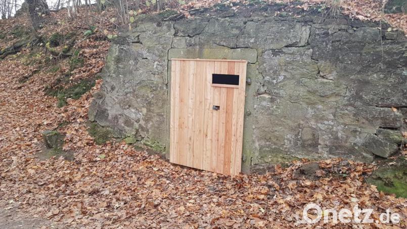 Hinter den neuen Kellertüren aus Holz mit Einfluglöchern werden sich die Fledermäuse künftig wohler fühlen. Bild: gi