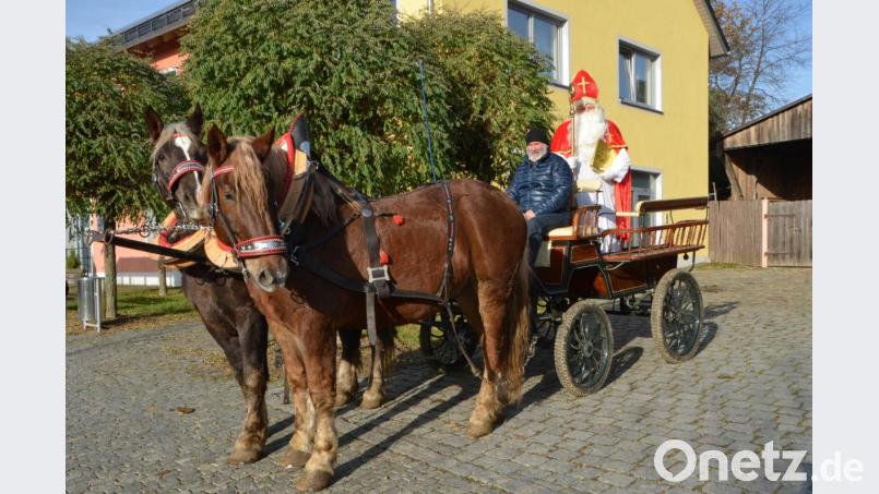 Mit den süddeutschen Kaltblütern &quot;Max&quot; und &quot;Gustl&quot; von Otto Peugler wird der Nikolaus (Heinrich Rewitzer) am Namensfest des Heilligen heuer durch die Stadt ziehen und nicht nur Kinderaugen zum Glänzen bringen. Bild: dob