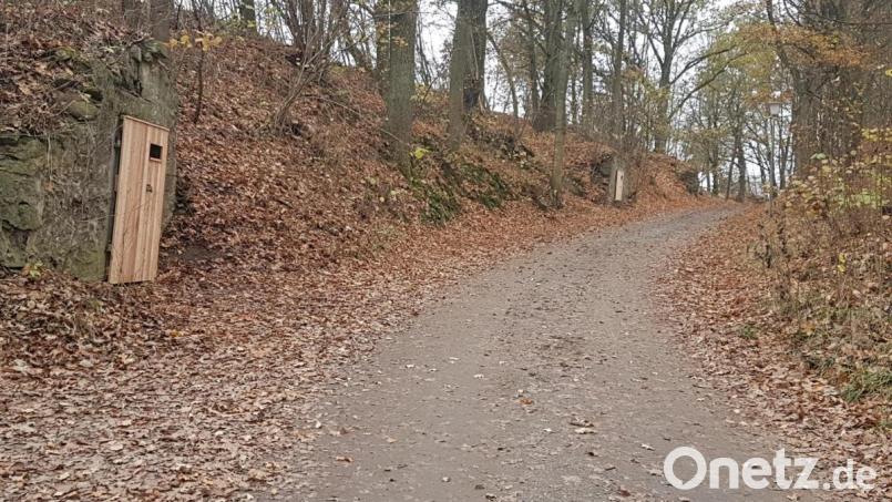 Hinter den neuen Kellertüren aus Holz mit Einfluglöchern werden sich die Fledermäuse künftig wohler fühlen. Bild: gi