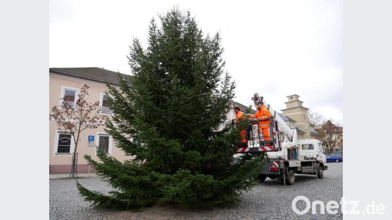 Bereits am Dienstag haben die Bediensteten des städtischen Bauhofs mit dem Anbringen der Lichterketten beim Christbaum auf dem Johannisplatz begonnen. Bild: hmr