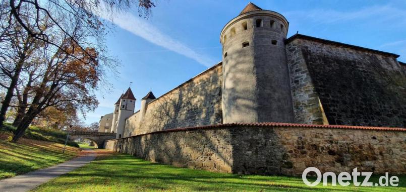 Einen Spaziergang im Amberger Stadtgraben machte Christian Scheibl. Bild: Christian Scheibl/exb