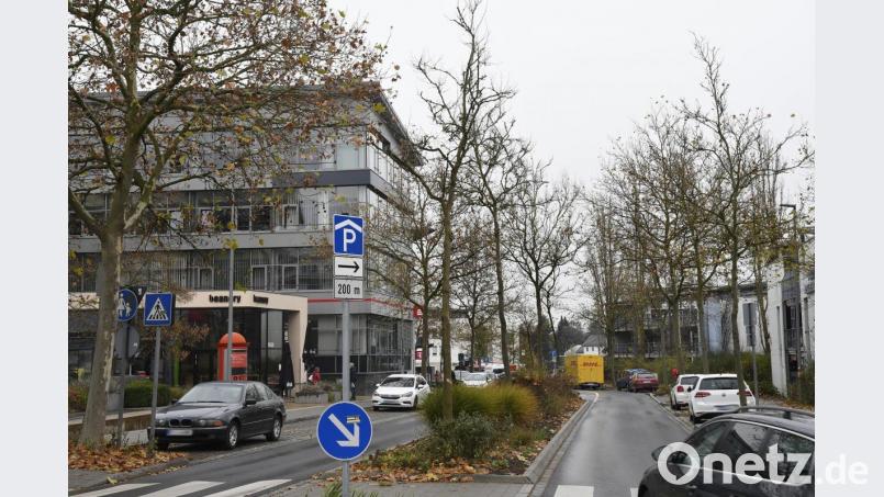 Derzeit wird der Baumbestand im Stadtgebiet kontrolliert. Im Bild: Marienstraße. Bild: Petra Hartl
