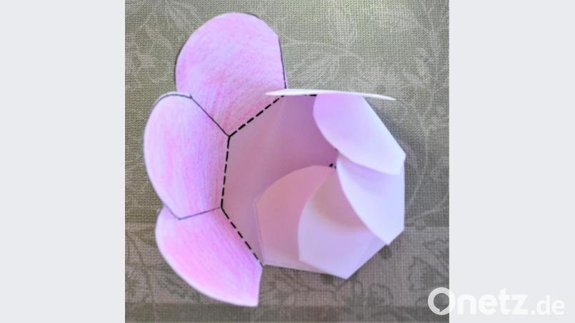 Ein kleines Rosenwunder können auch die Kinder erleben, wenn sie basteln. Bild: rgr